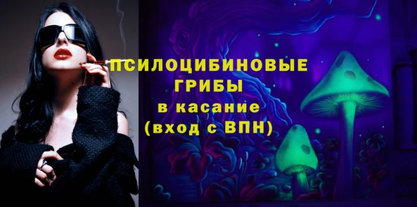 дживик Абинск