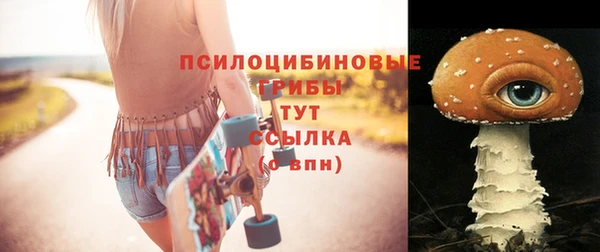 ГАЛЛЮЦИНОГЕННЫЕ ГРИБЫ Инта