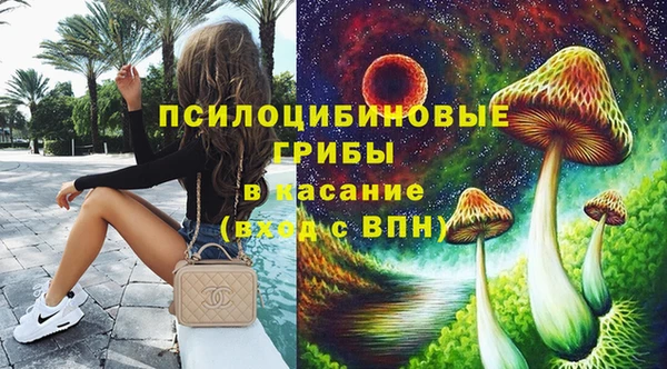 МДПВ Абаза