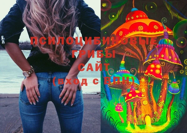 дживик Абинск